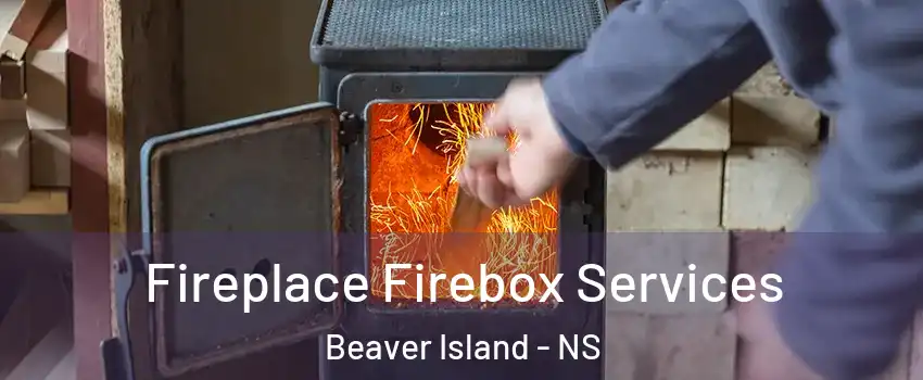  Fireplace Firebox Services Beaver Island - NS