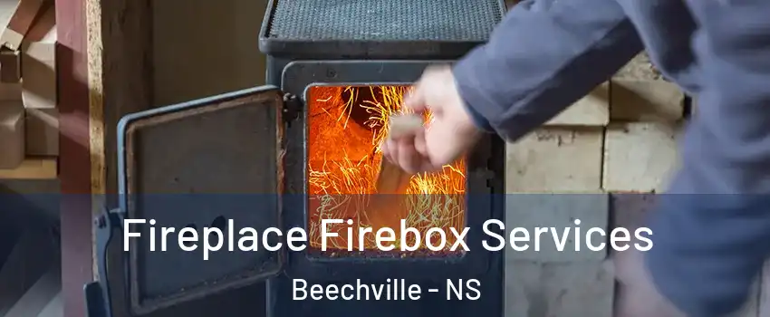  Fireplace Firebox Services Beechville - NS