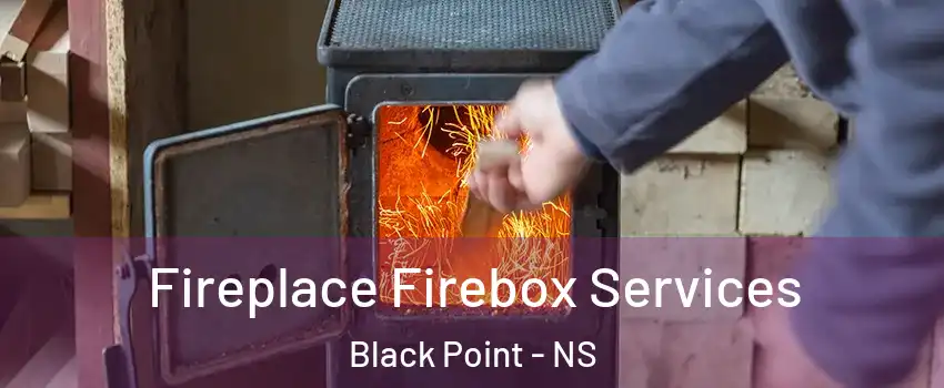  Fireplace Firebox Services Black Point - NS
