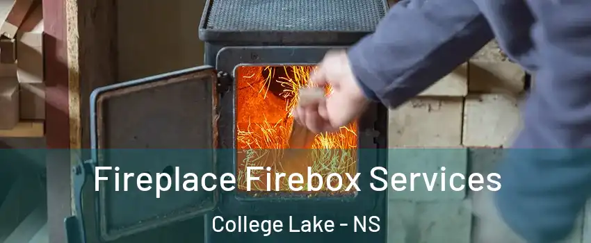 Fireplace Firebox Services College Lake - NS