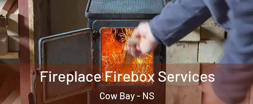  Fireplace Firebox Services Cow Bay - NS