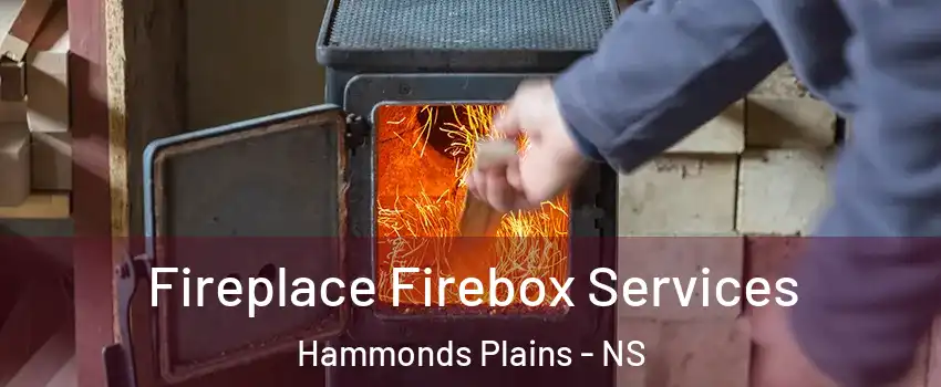  Fireplace Firebox Services Hammonds Plains - NS