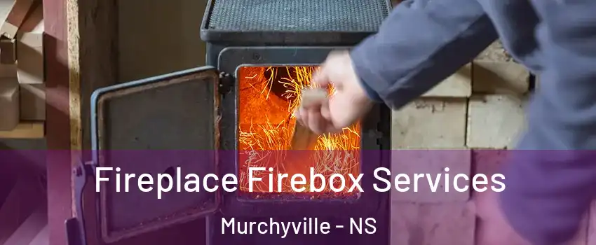  Fireplace Firebox Services Murchyville - NS