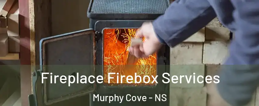  Fireplace Firebox Services Murphy Cove - NS