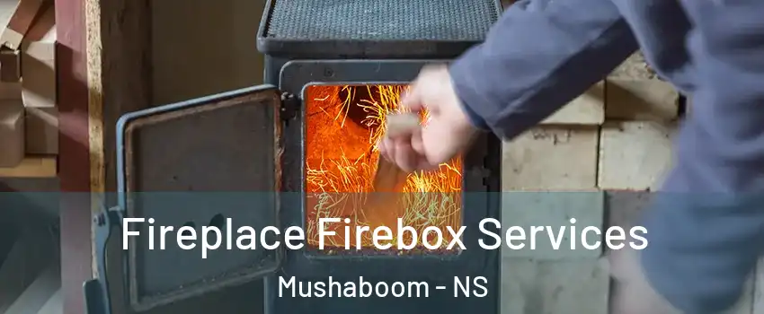  Fireplace Firebox Services Mushaboom - NS