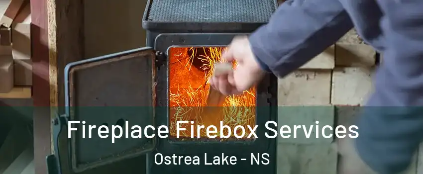  Fireplace Firebox Services Ostrea Lake - NS