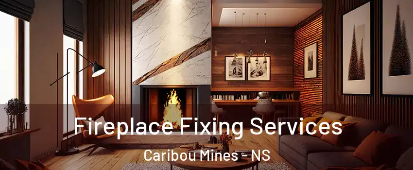  Fireplace Fixing Services Caribou Mines - NS