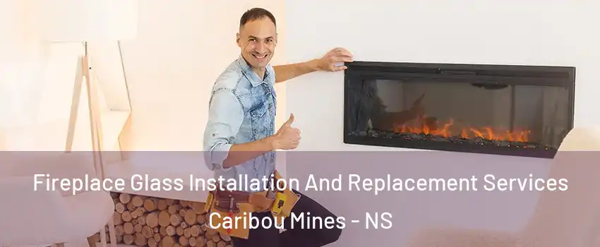  Fireplace Glass Installation And Replacement Services Caribou Mines - NS