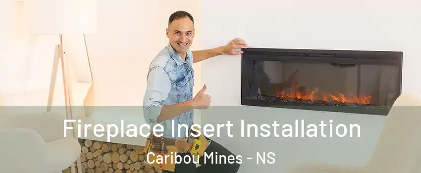 Fireplace Insert Installation Caribou Mines - NS