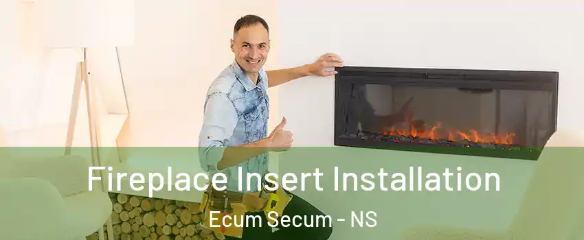  Fireplace Insert Installation Ecum Secum - NS
