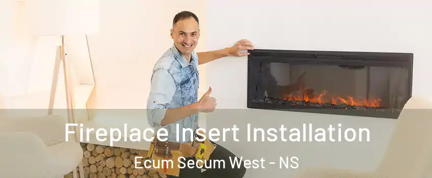  Fireplace Insert Installation Ecum Secum West - NS
