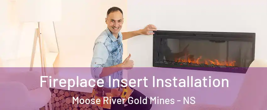  Fireplace Insert Installation Moose River Gold Mines - NS