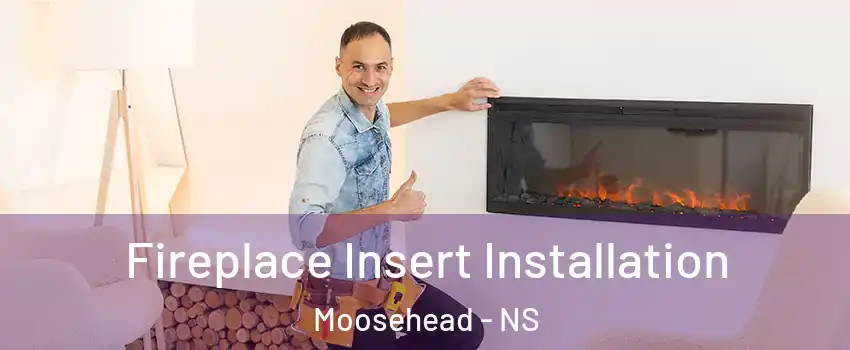  Fireplace Insert Installation Moosehead - NS