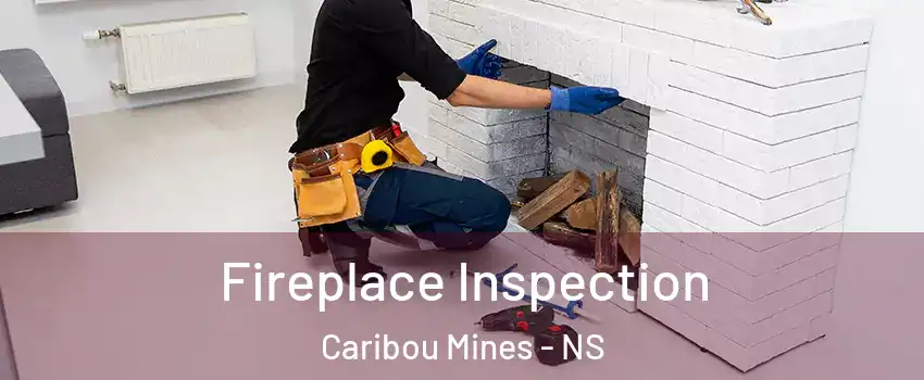  Fireplace Inspection Caribou Mines - NS