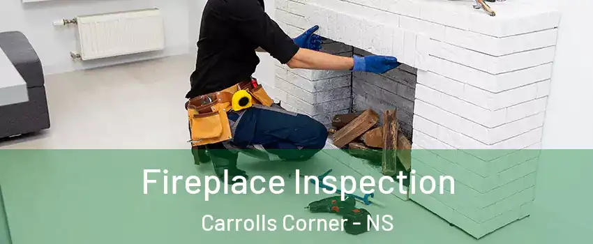  Fireplace Inspection Carrolls Corner - NS