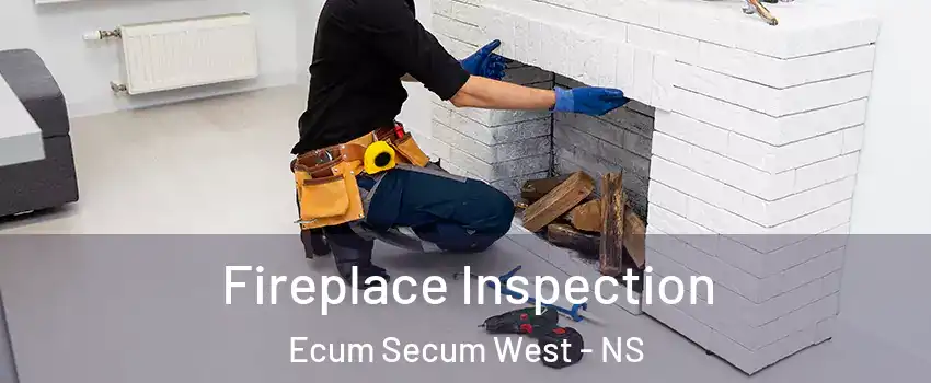  Fireplace Inspection Ecum Secum West - NS