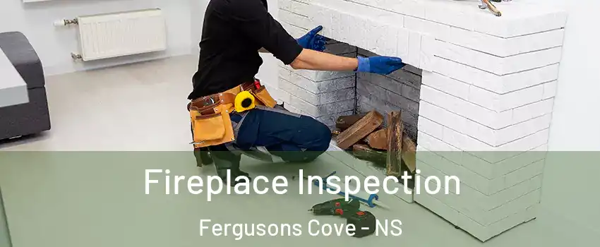  Fireplace Inspection Fergusons Cove - NS