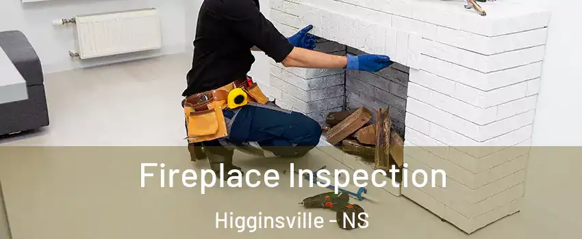  Fireplace Inspection Higginsville - NS