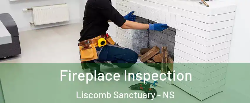  Fireplace Inspection Liscomb Sanctuary - NS