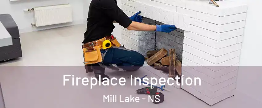  Fireplace Inspection Mill Lake - NS
