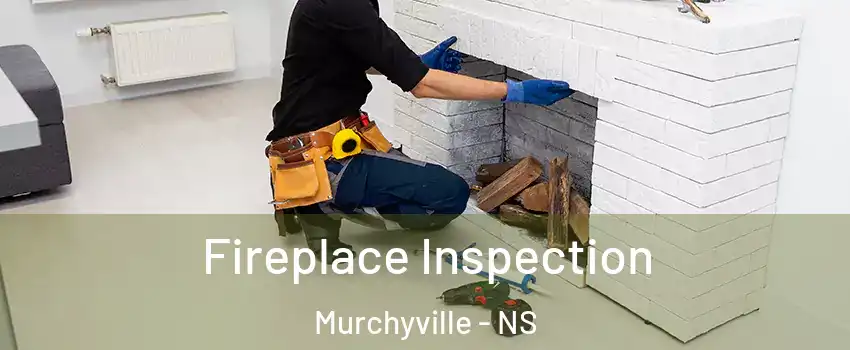 Fireplace Inspection Murchyville - NS