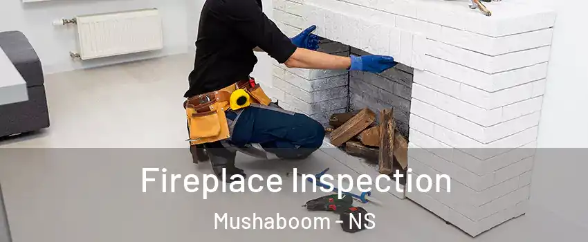  Fireplace Inspection Mushaboom - NS