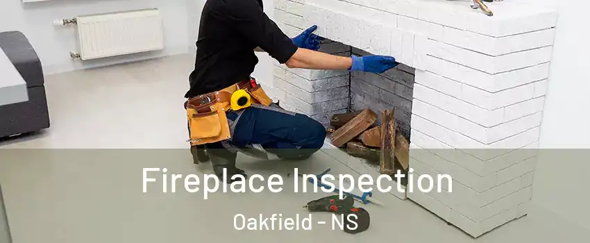  Fireplace Inspection Oakfield - NS