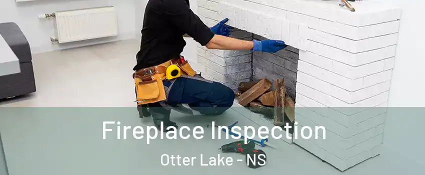  Fireplace Inspection Otter Lake - NS