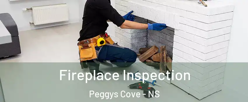  Fireplace Inspection Peggys Cove - NS