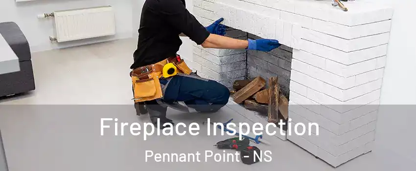  Fireplace Inspection Pennant Point - NS