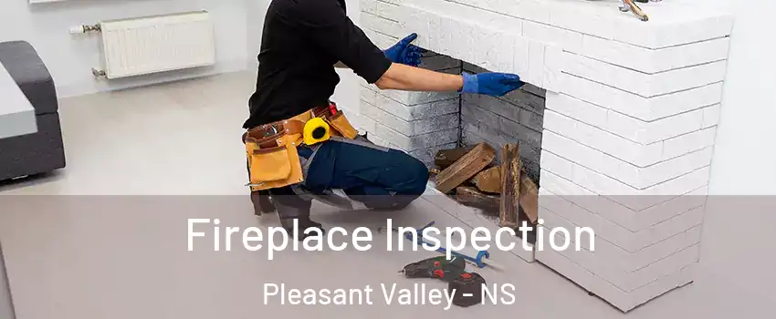 Fireplace Inspection Pleasant Valley - NS