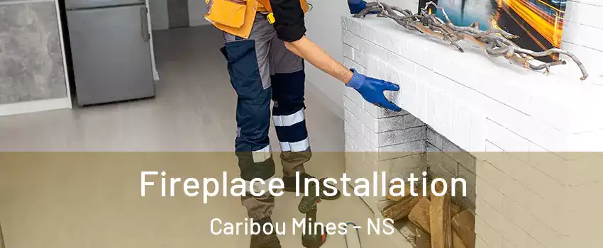  Fireplace Installation Caribou Mines - NS