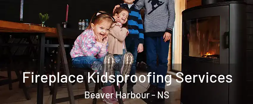  Fireplace Kidsproofing Services Beaver Harbour - NS