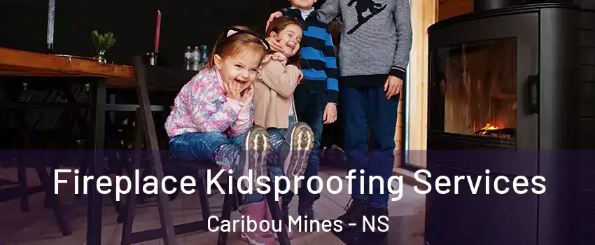 Fireplace Kidsproofing Services Caribou Mines - NS