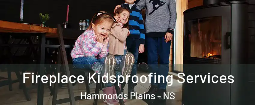  Fireplace Kidsproofing Services Hammonds Plains - NS