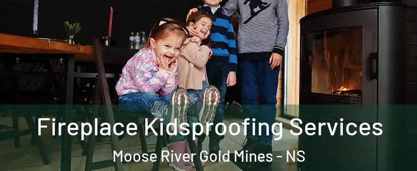 Fireplace Kidsproofing Services Moose River Gold Mines - NS
