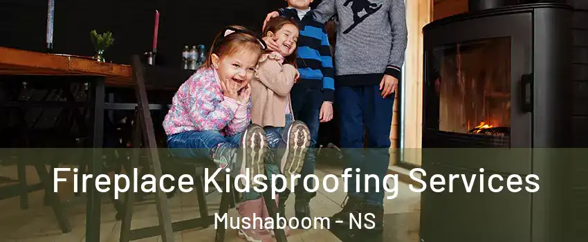  Fireplace Kidsproofing Services Mushaboom - NS