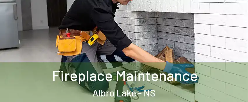  Fireplace Maintenance Albro Lake - NS
