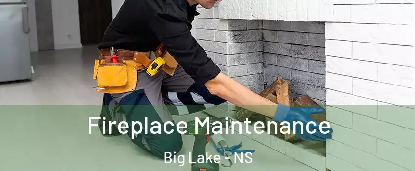  Fireplace Maintenance Big Lake - NS