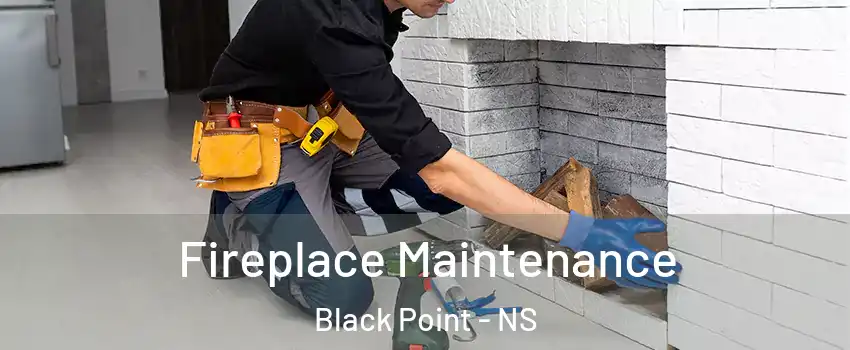  Fireplace Maintenance Black Point - NS