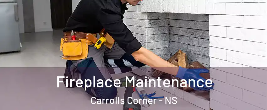  Fireplace Maintenance Carrolls Corner - NS