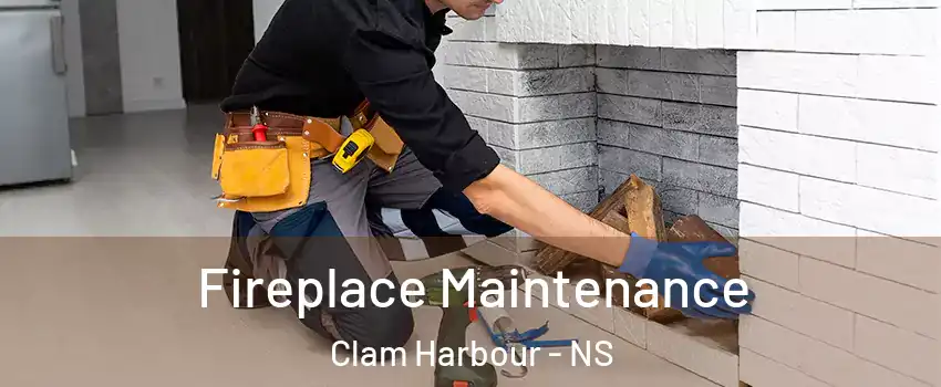  Fireplace Maintenance Clam Harbour - NS