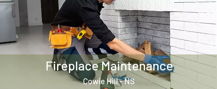  Fireplace Maintenance Cowie Hill - NS