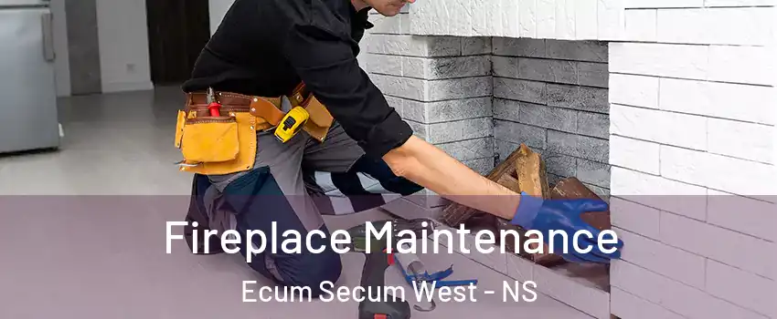  Fireplace Maintenance Ecum Secum West - NS