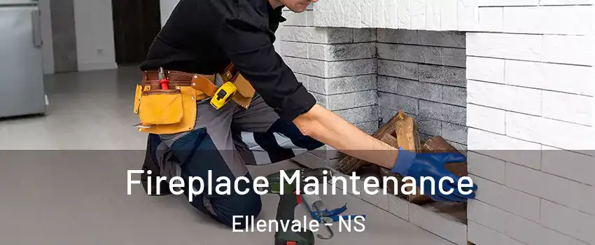 Fireplace Maintenance Ellenvale - NS