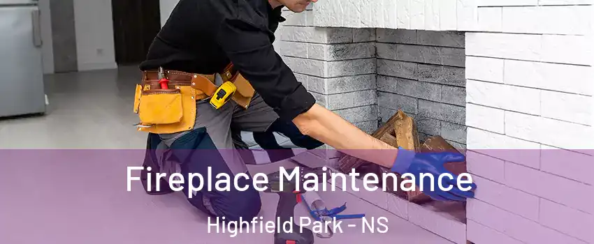  Fireplace Maintenance Highfield Park - NS