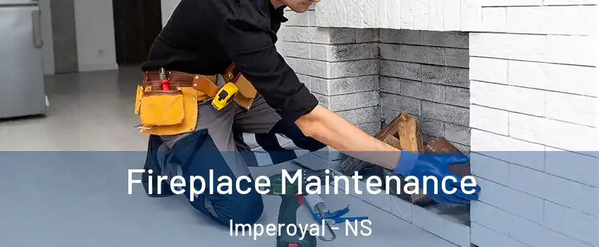  Fireplace Maintenance Imperoyal - NS