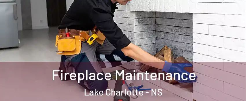  Fireplace Maintenance Lake Charlotte - NS