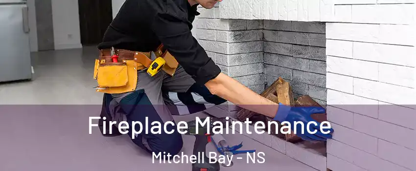  Fireplace Maintenance Mitchell Bay - NS