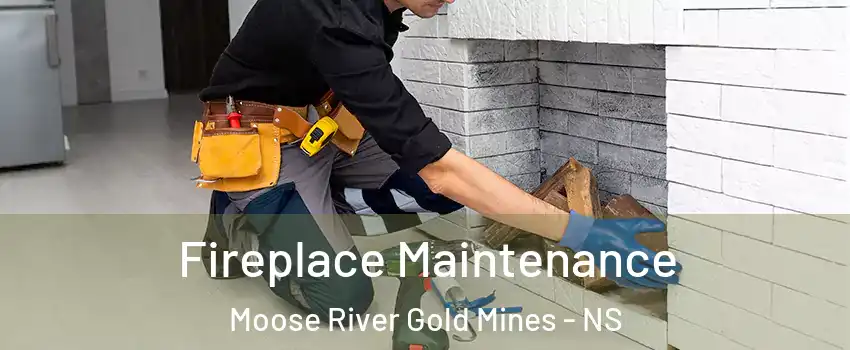  Fireplace Maintenance Moose River Gold Mines - NS